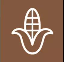 1514277197380616.jpg 103.jpg