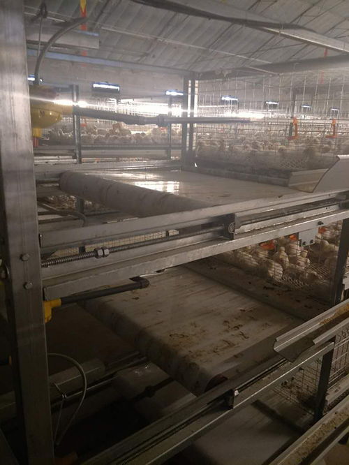 運(yùn)盈機(jī)械生產(chǎn)廠家 圖 肉雞籠量尺定做 肉雞籠